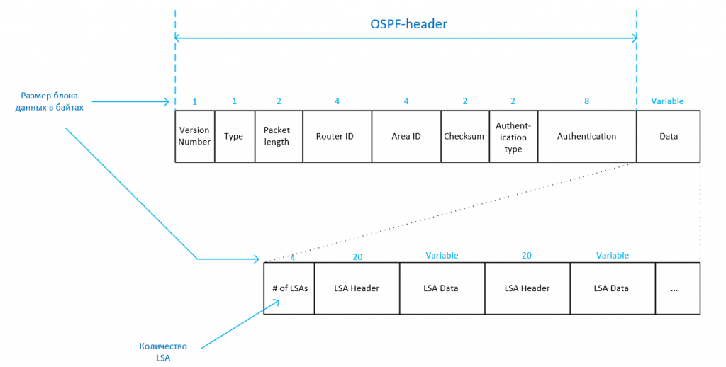 lsa ospf что это